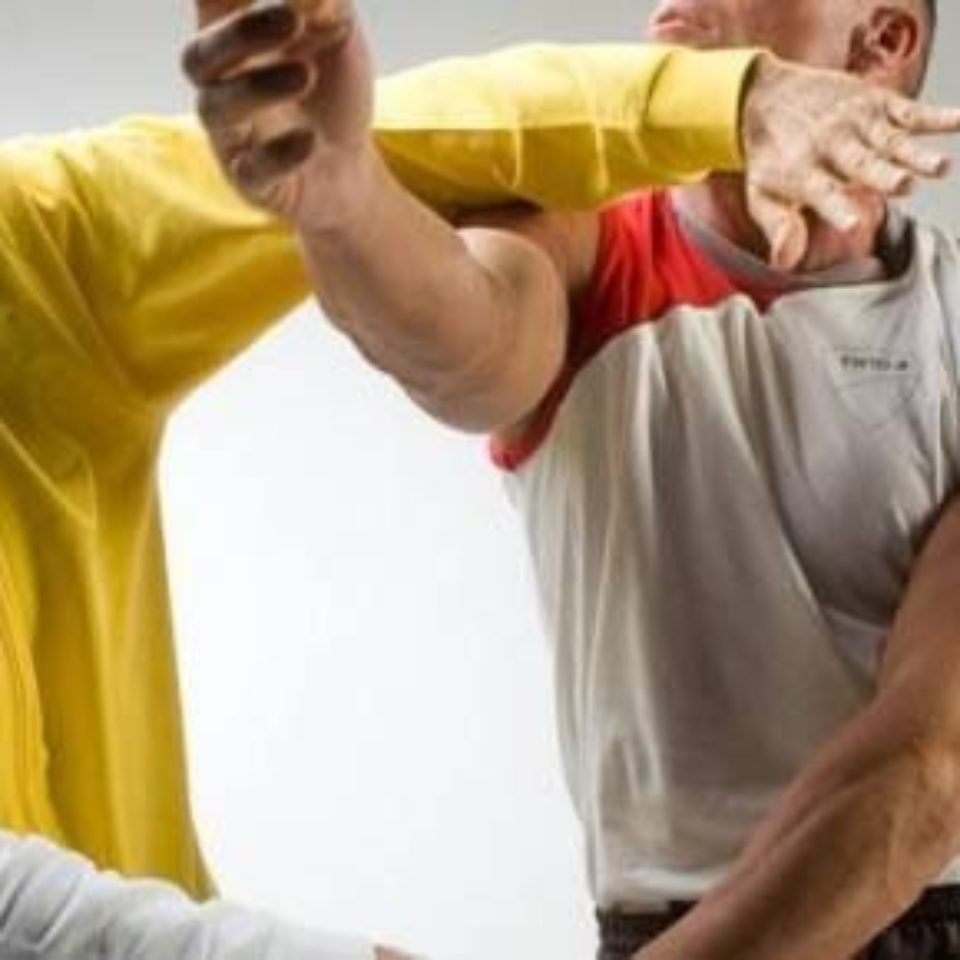 Stieler Bild HP Banner (Sifu und Micha)