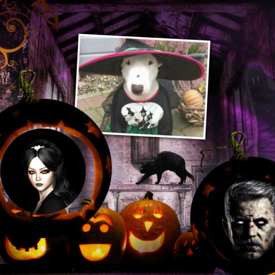 Halloween 2019